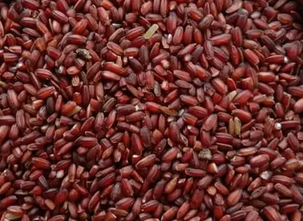 Karuthakkar Rice-[கருதக்கார் அரிசி]