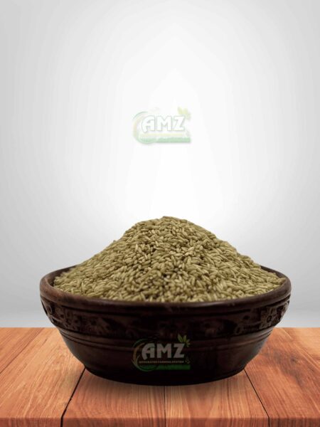 ILUPPAIPOO SAMBA RAW RICE