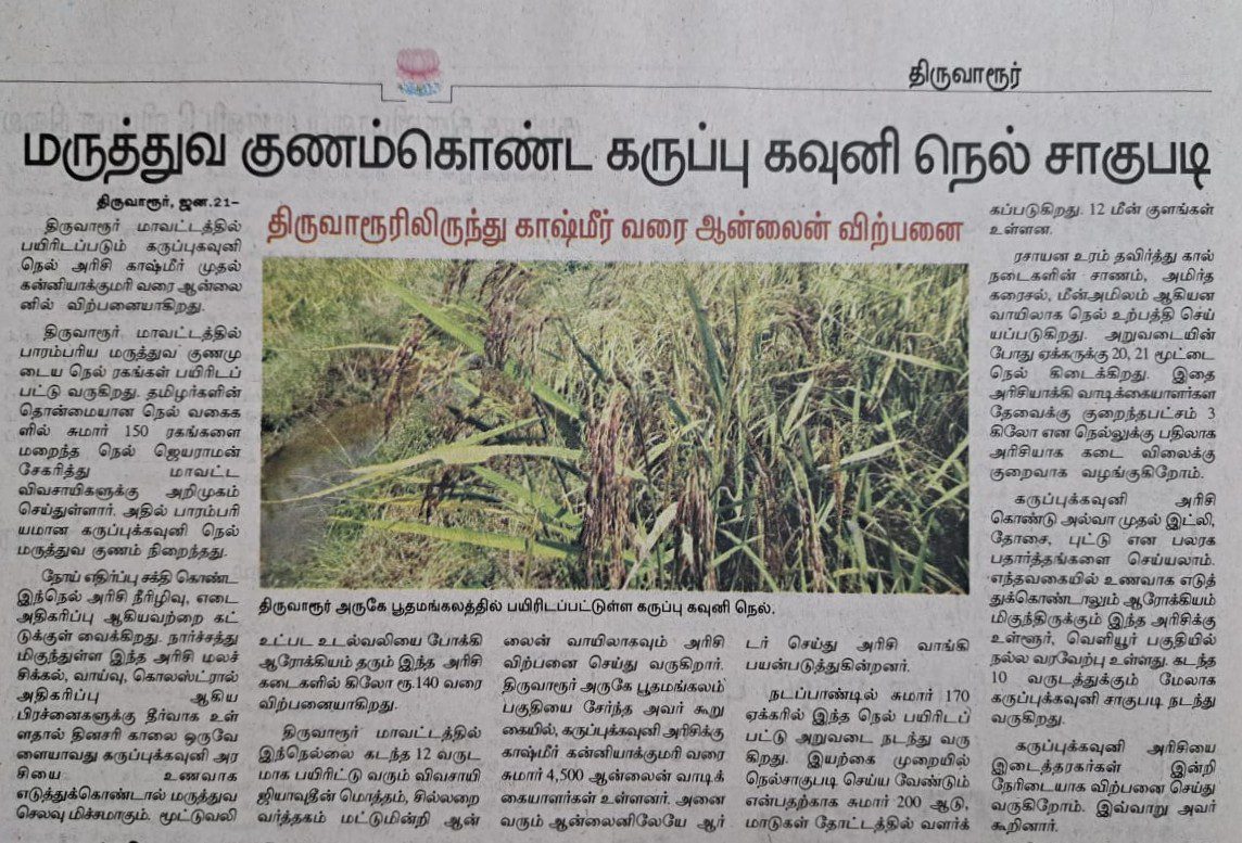 Image gallery marquee